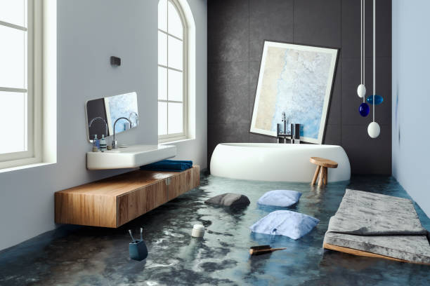  Indian Lake, MO Water damage restoration Pros