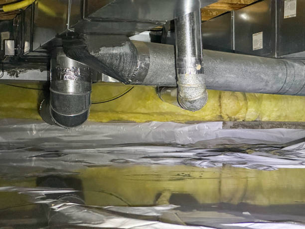 Best Water damage mitigation services  in Indian Lake, MO