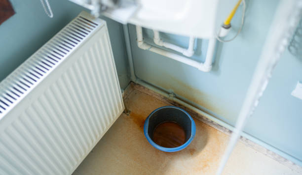 Best Water damage contractors near me  in Indian Lake, MO